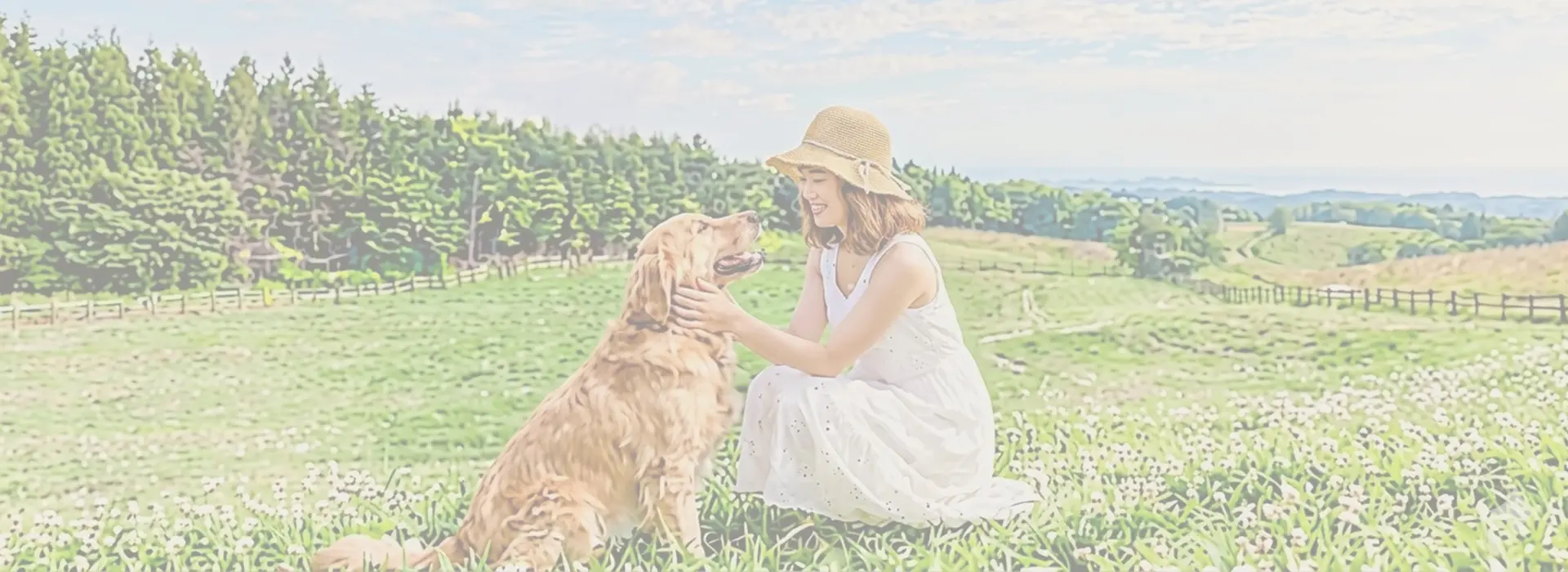 愛犬ページのメインビジュアル